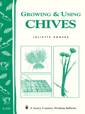 cover image of Growing & Using Chives